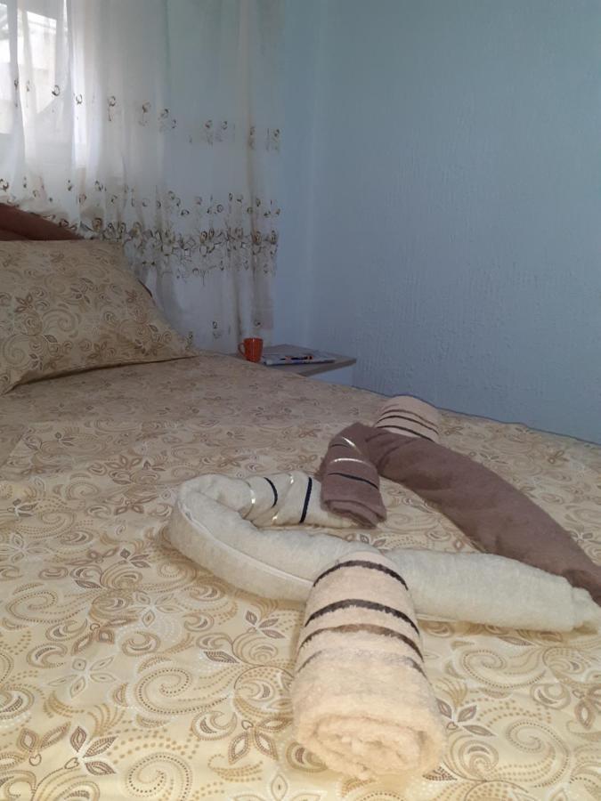 Studio-apartman Milena 2 Podgoriţa Exterior foto